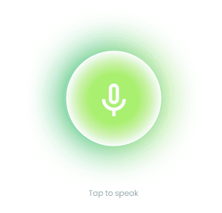 Voice Console